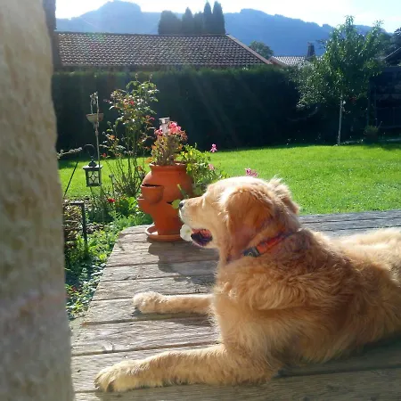 Ciao-aschau Fewo Lexa Aschau im Chiemgau